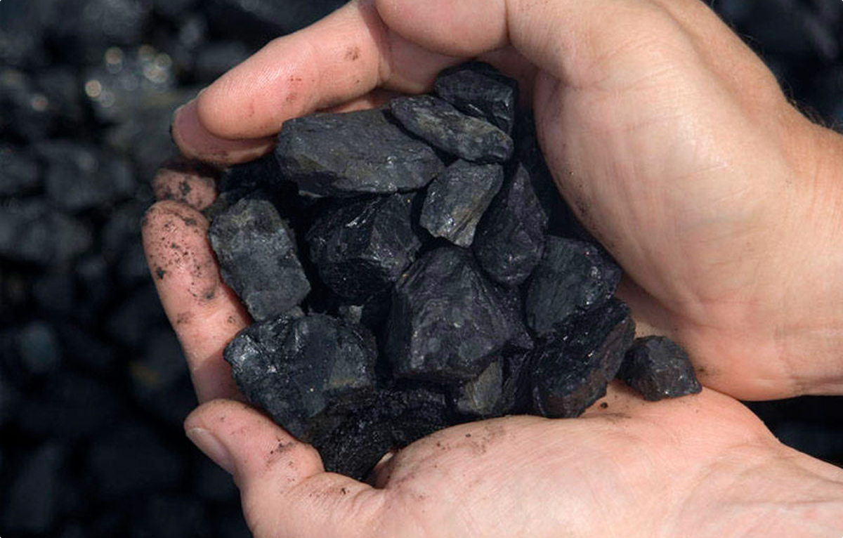 Full Disclosure: Government Opens Coal Records to Public