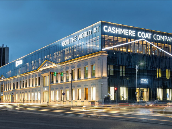 Gobi’s Privatization on Hold